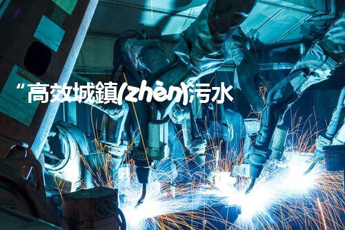 “高效城鎮(zhèn)污水處理流程，守護碧水藍天新篇章”